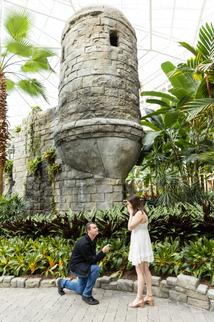 Gaylord Palms Marriage Proposal