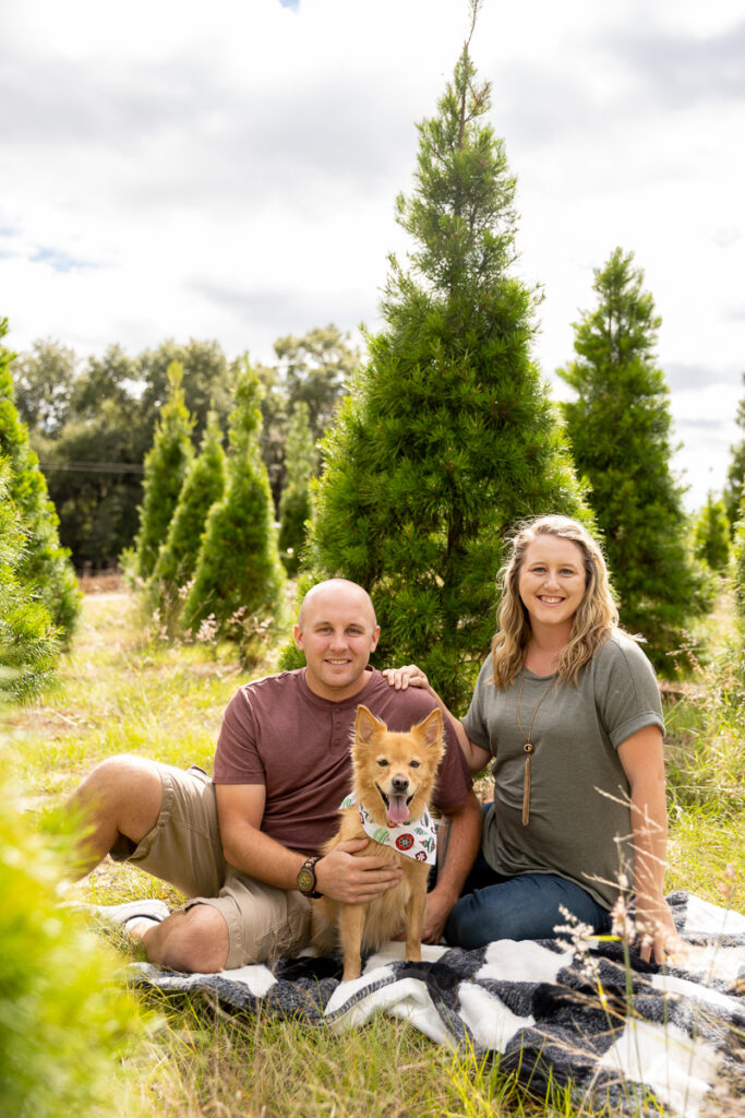 Christmas Tree Farm Portraits Orlando